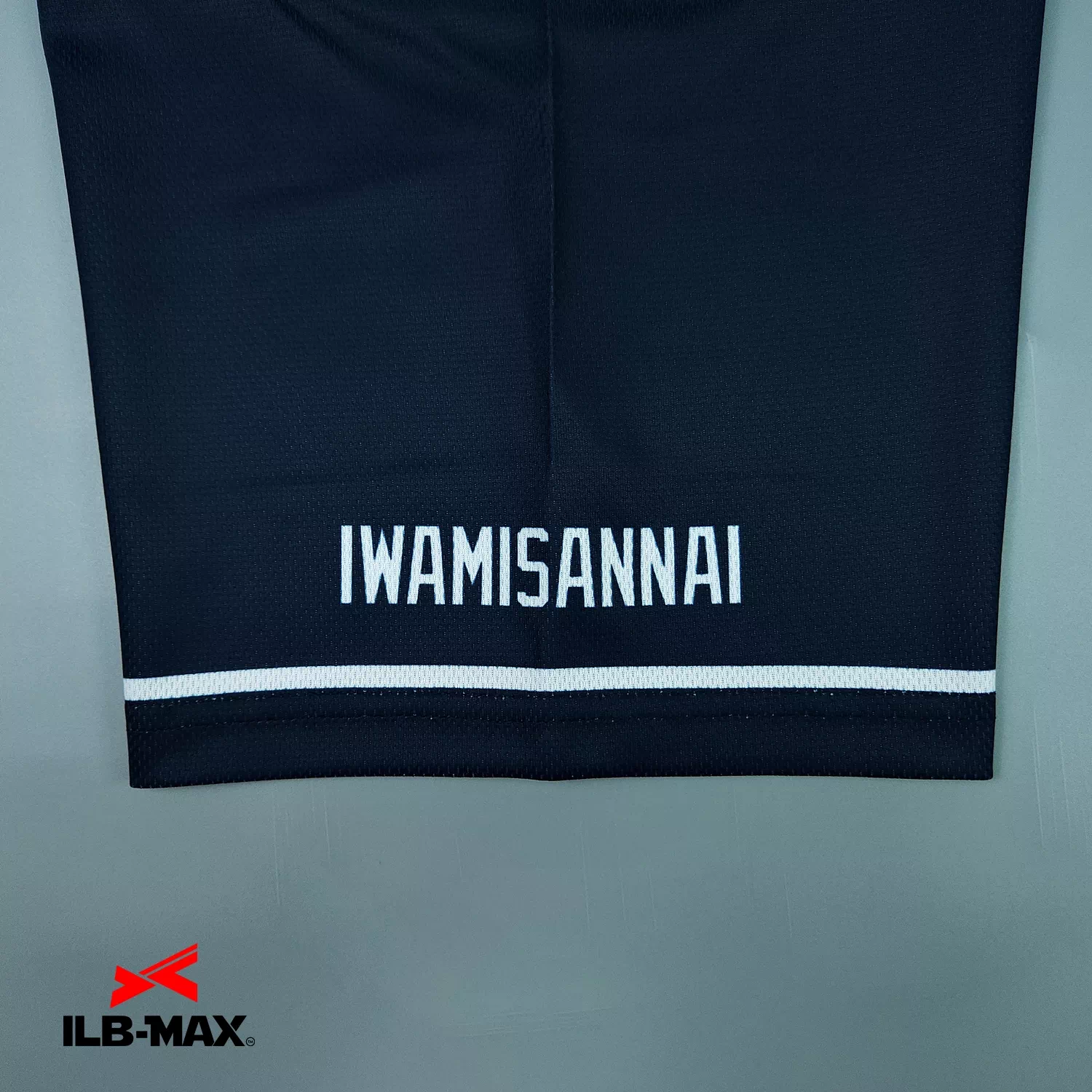 IwamiSannai_1st5