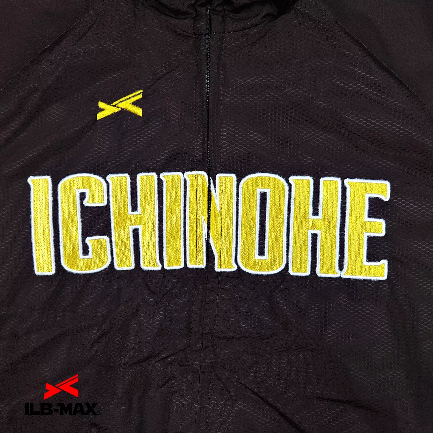ichinohe_1st_JP1